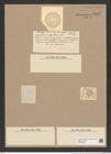Coscinodiscus gemmifer Ehr. (de-Toni-Nr.: Genus 202, Species 5081) Zeichnungen Sammlung Grunow Nr. 8839 (NHMW-BOT-W0378462)